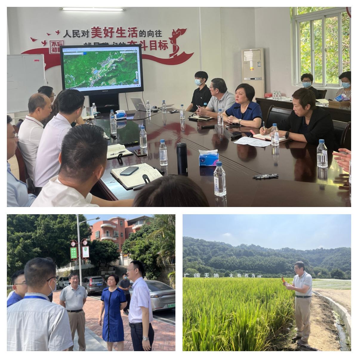 鉴黑担保网(jhdbw)·最具权威唯一维权担保平台