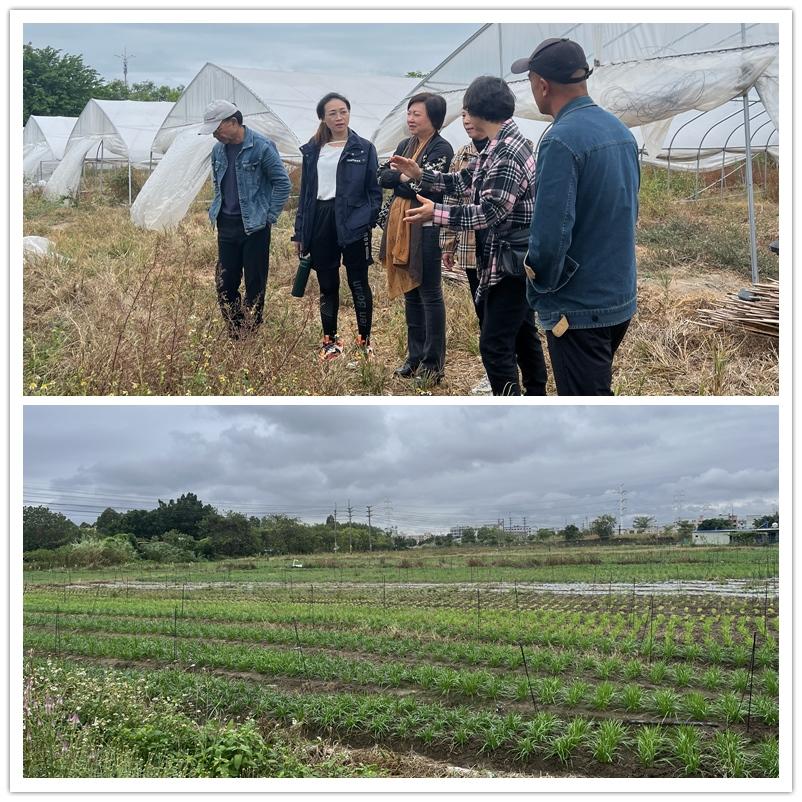 鉴黑担保网(jhdbw)·最具权威唯一维权担保平台