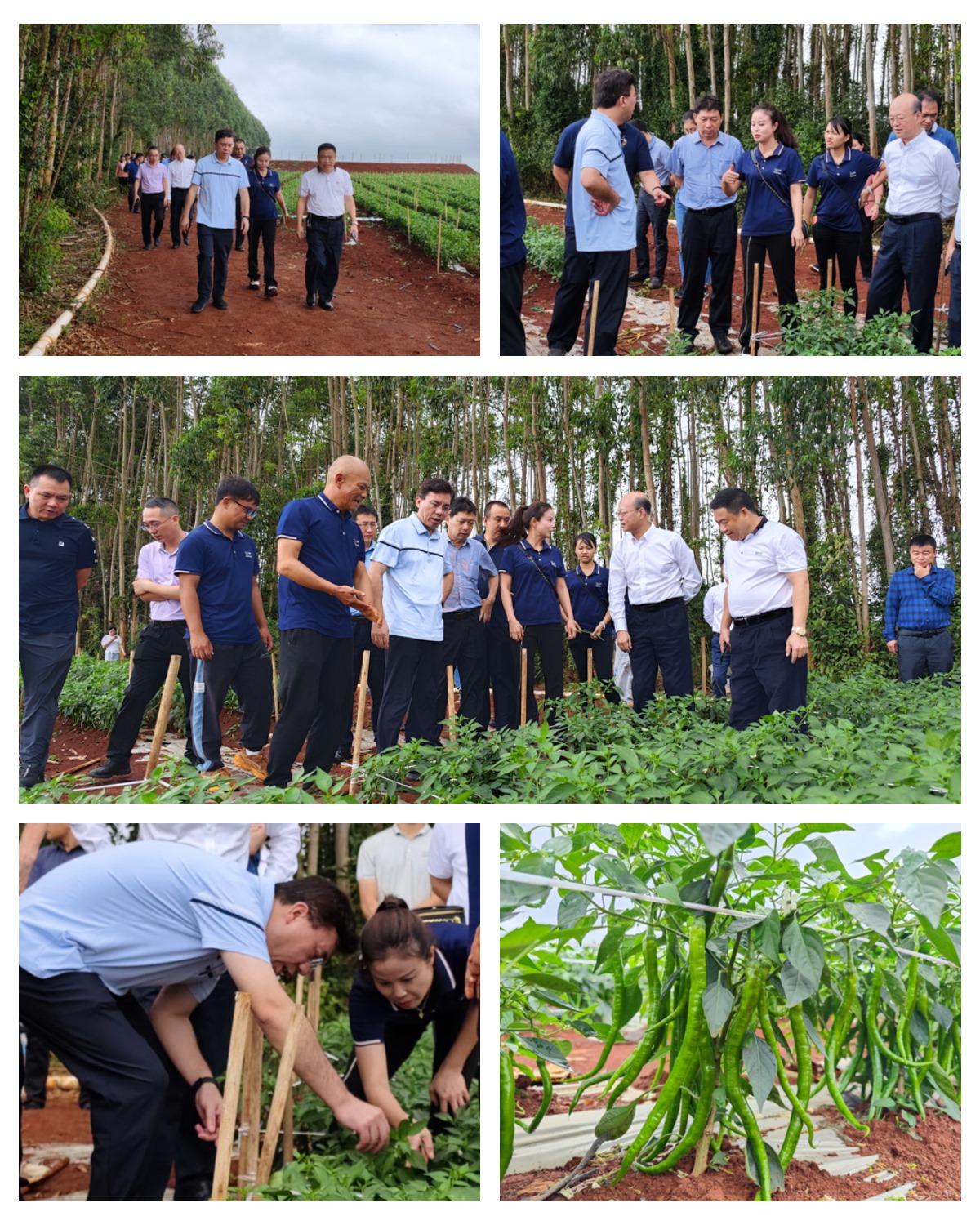 鉴黑担保网(jhdbw)·最具权威唯一维权担保平台