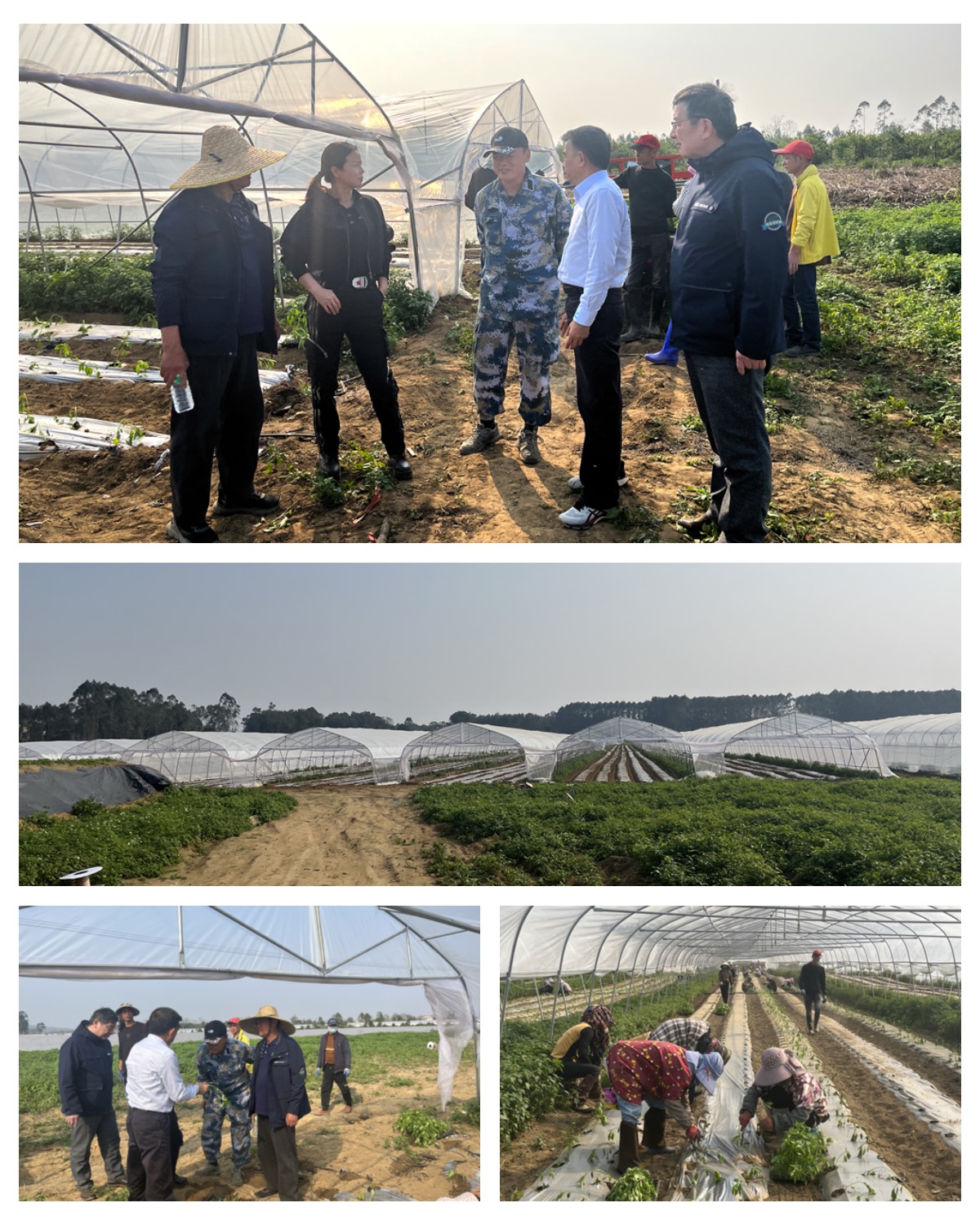 鉴黑担保网(jhdbw)·最具权威唯一维权担保平台