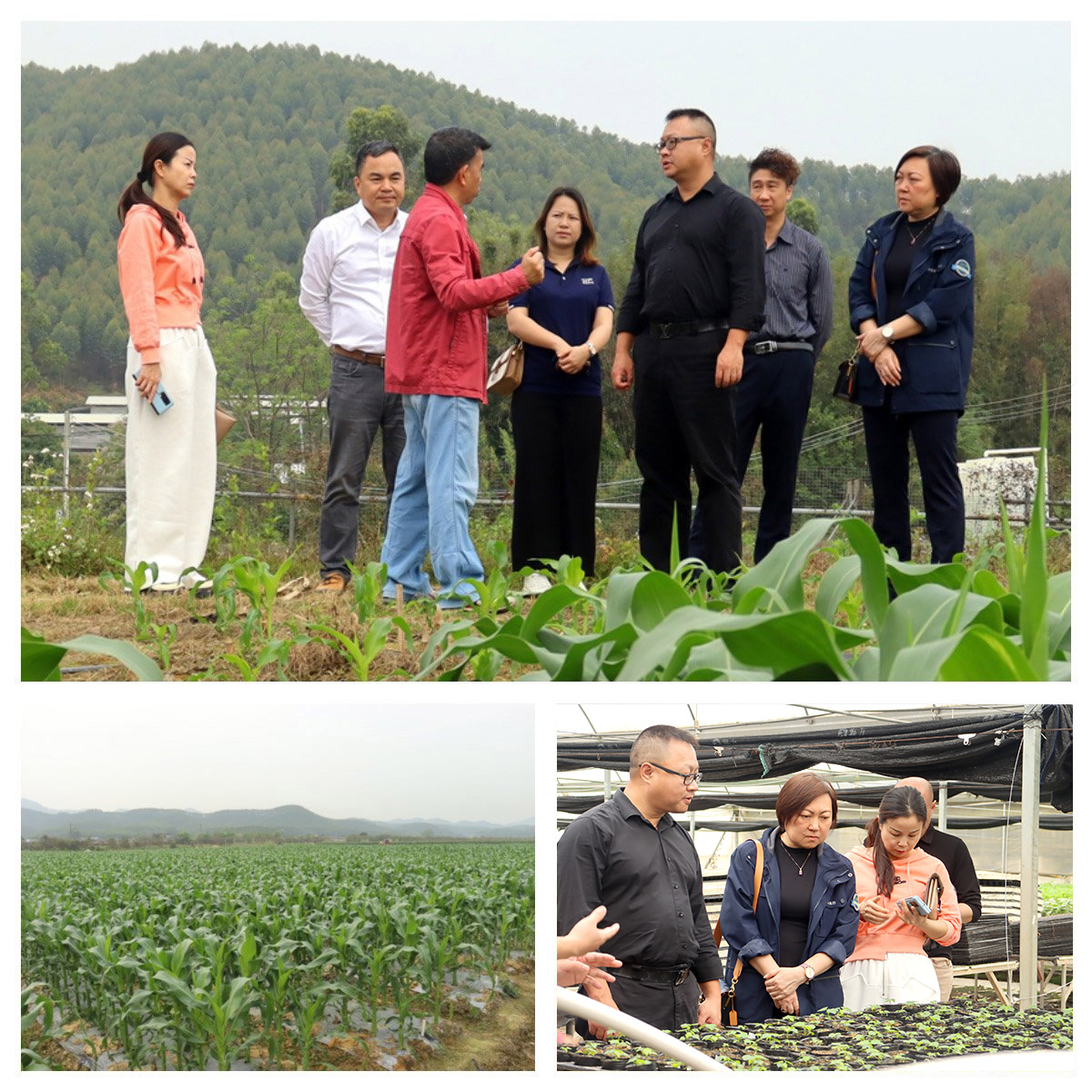 鉴黑担保网(jhdbw)·最具权威唯一维权担保平台