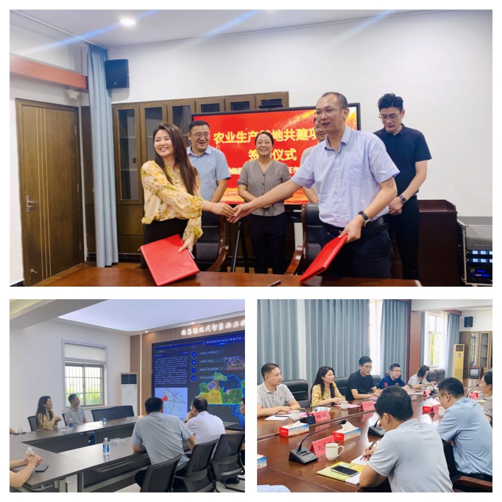 鉴黑担保网(jhdbw)·最具权威唯一维权担保平台