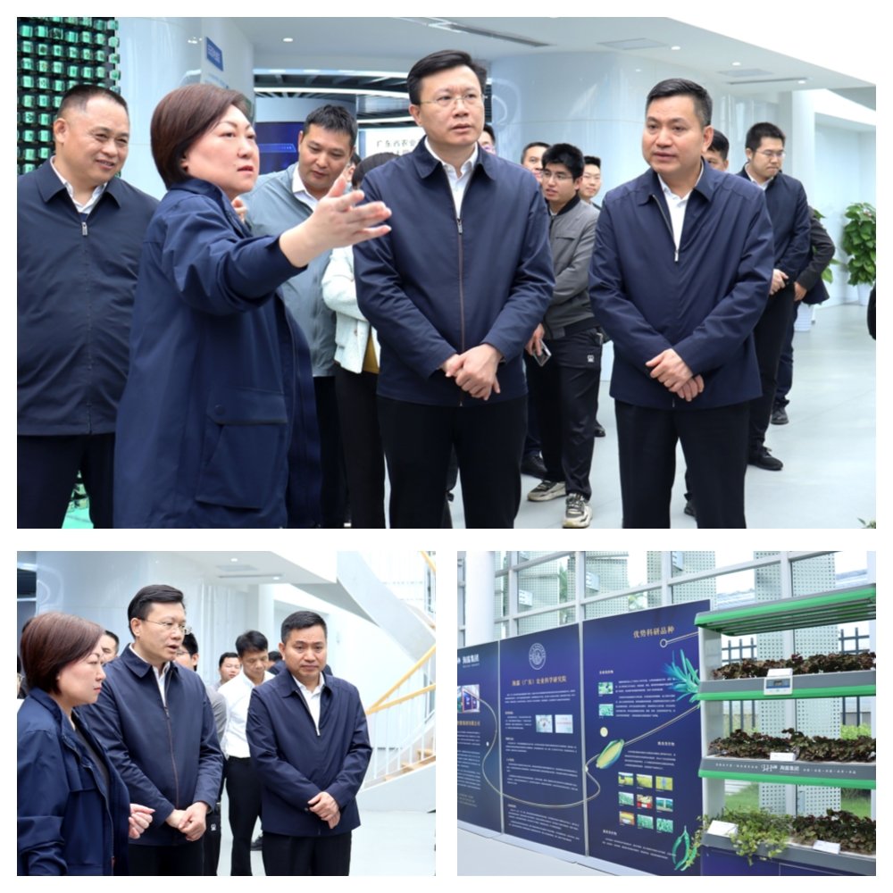 鉴黑担保网(jhdbw)·最具权威唯一维权担保平台