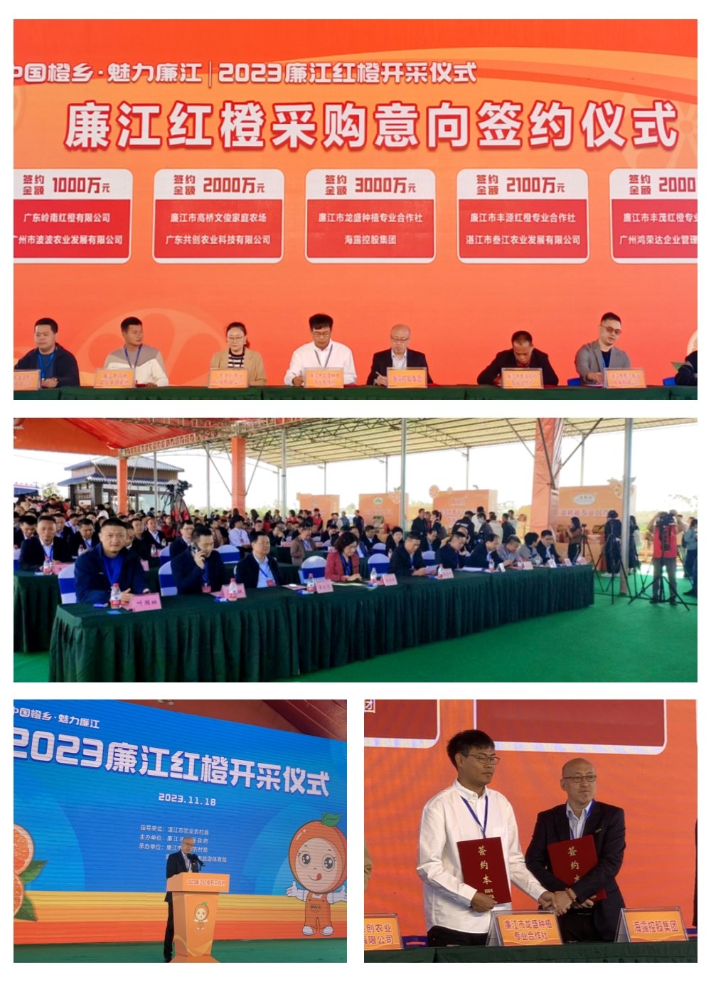 鉴黑担保网(jhdbw)·最具权威唯一维权担保平台