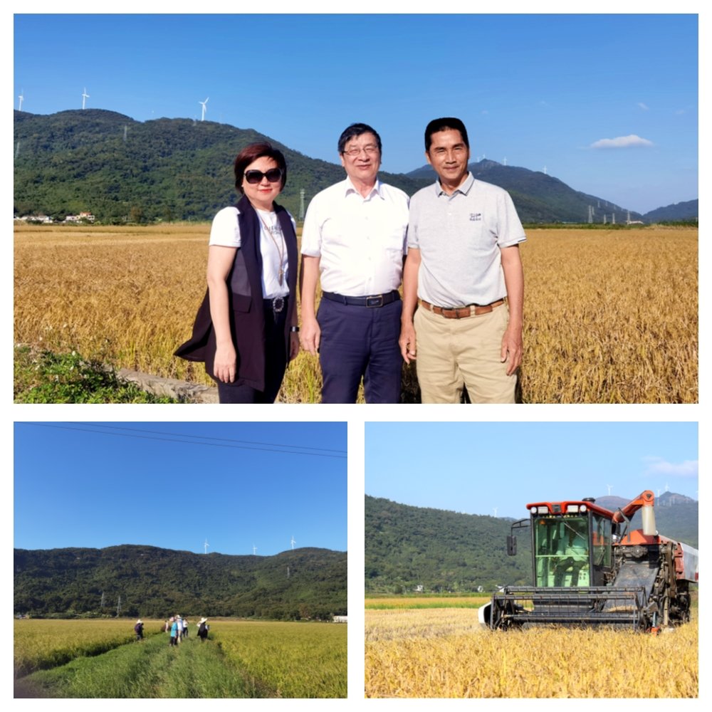 鉴黑担保网(jhdbw)·最具权威唯一维权担保平台