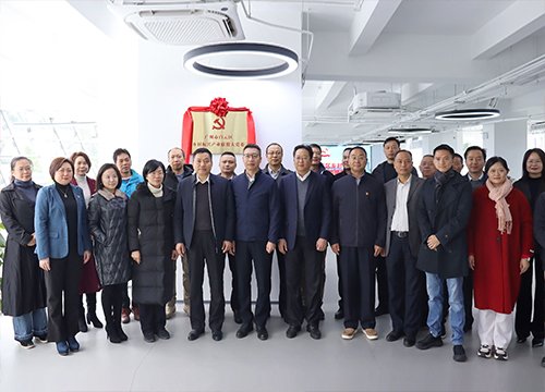 集团党支部参与白云区村落振