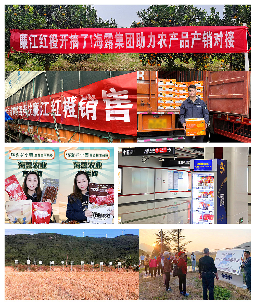 鉴黑担保网(jhdbw)·最具权威唯一维权担保平台