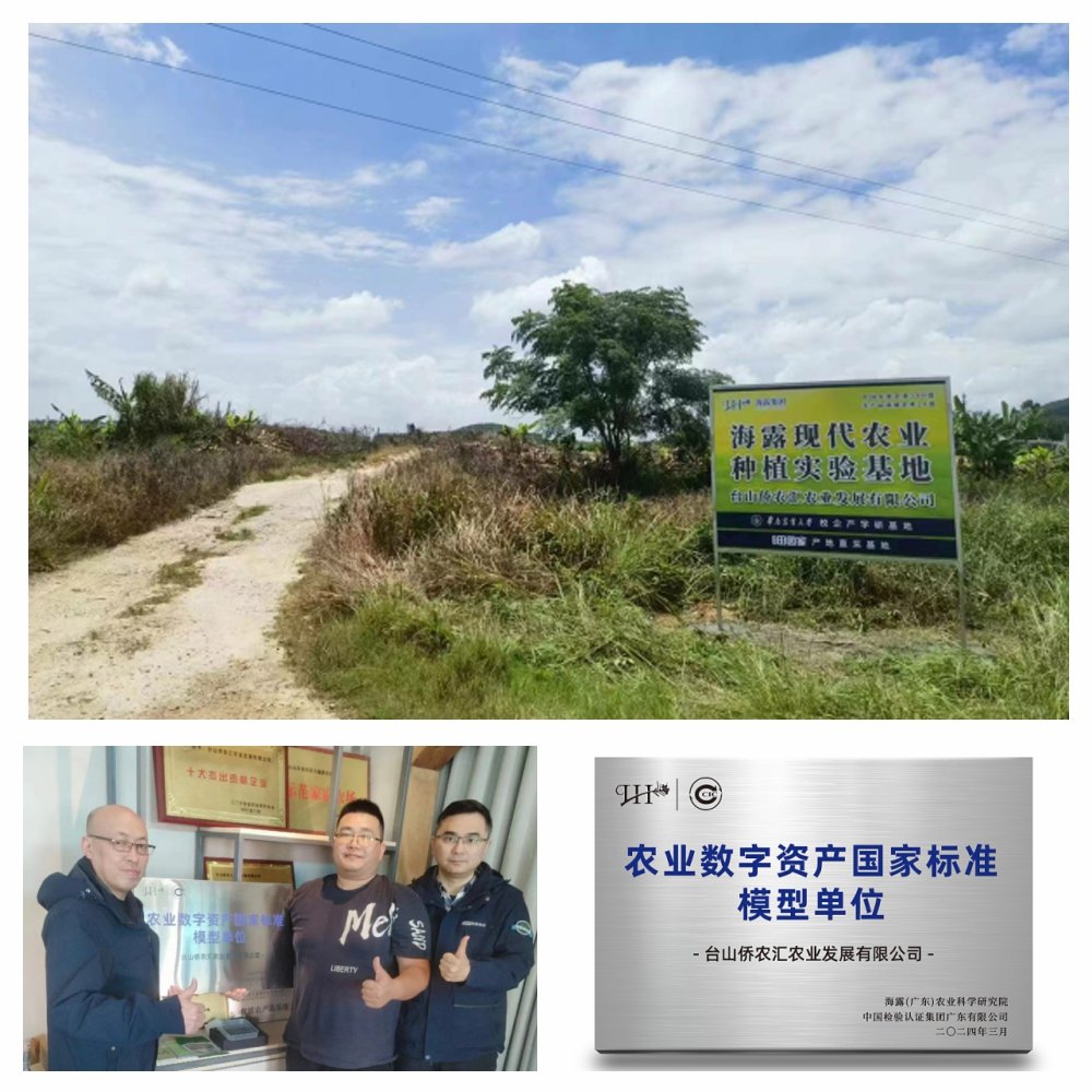 鉴黑担保网(jhdbw)·最具权威唯一维权担保平台