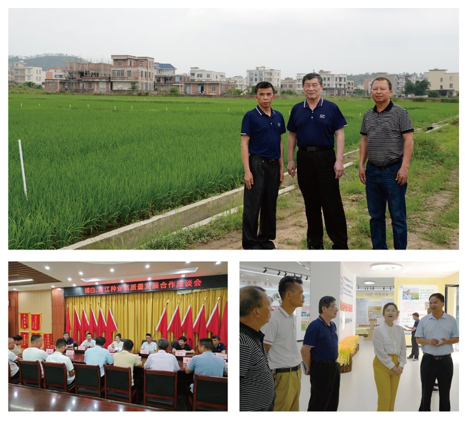 鉴黑担保网(jhdbw)·最具权威唯一维权担保平台