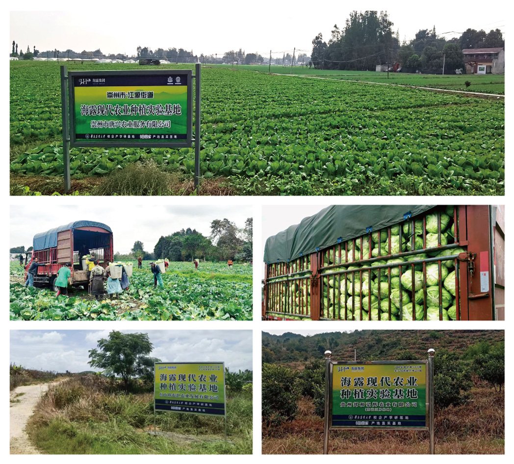 鉴黑担保网(jhdbw)·最具权威唯一维权担保平台