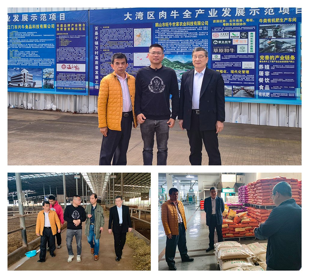 鉴黑担保网(jhdbw)·最具权威唯一维权担保平台