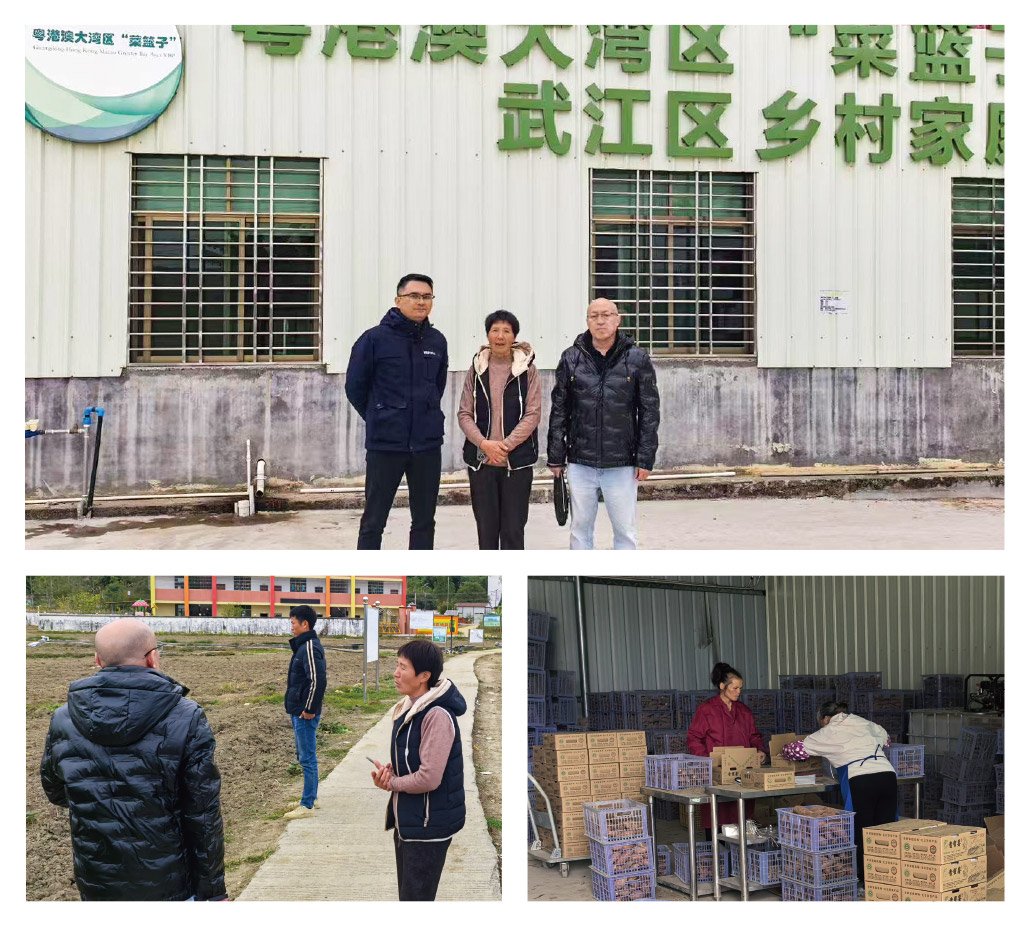 鉴黑担保网(jhdbw)·最具权威唯一维权担保平台