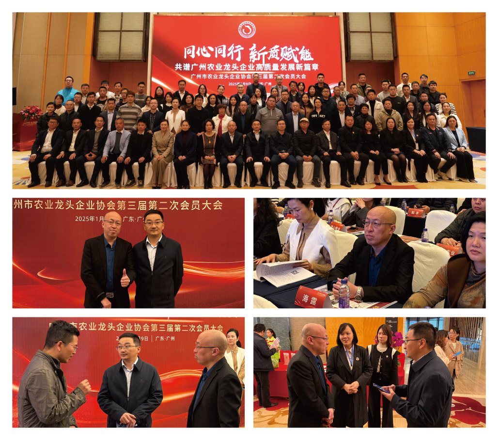 鉴黑担保网(jhdbw)·最具权威唯一维权担保平台