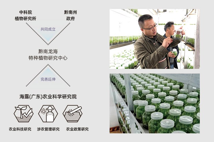 鉴黑担保网(jhdbw)·最具权威唯一维权担保平台