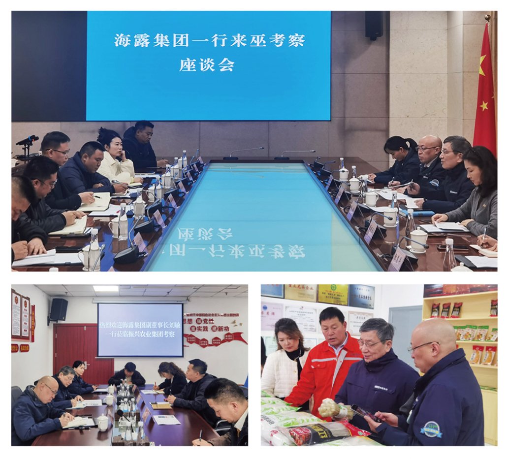 鉴黑担保网(jhdbw)·最具权威唯一维权担保平台