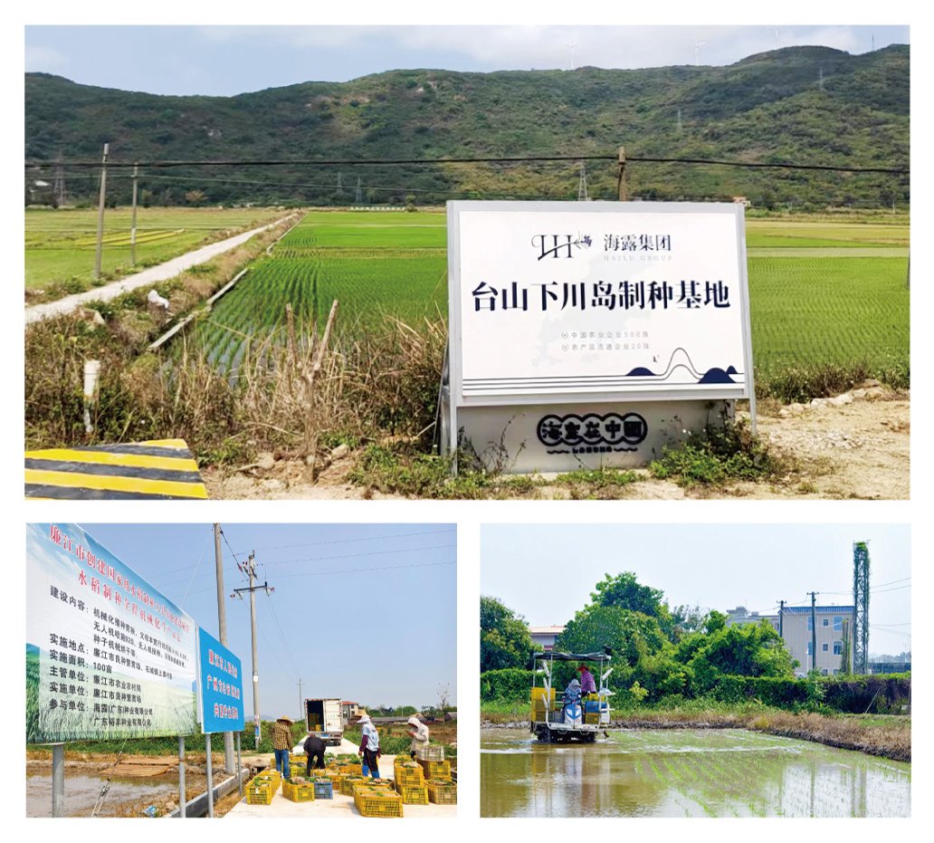 鉴黑担保网(jhdbw)·最具权威唯一维权担保平台