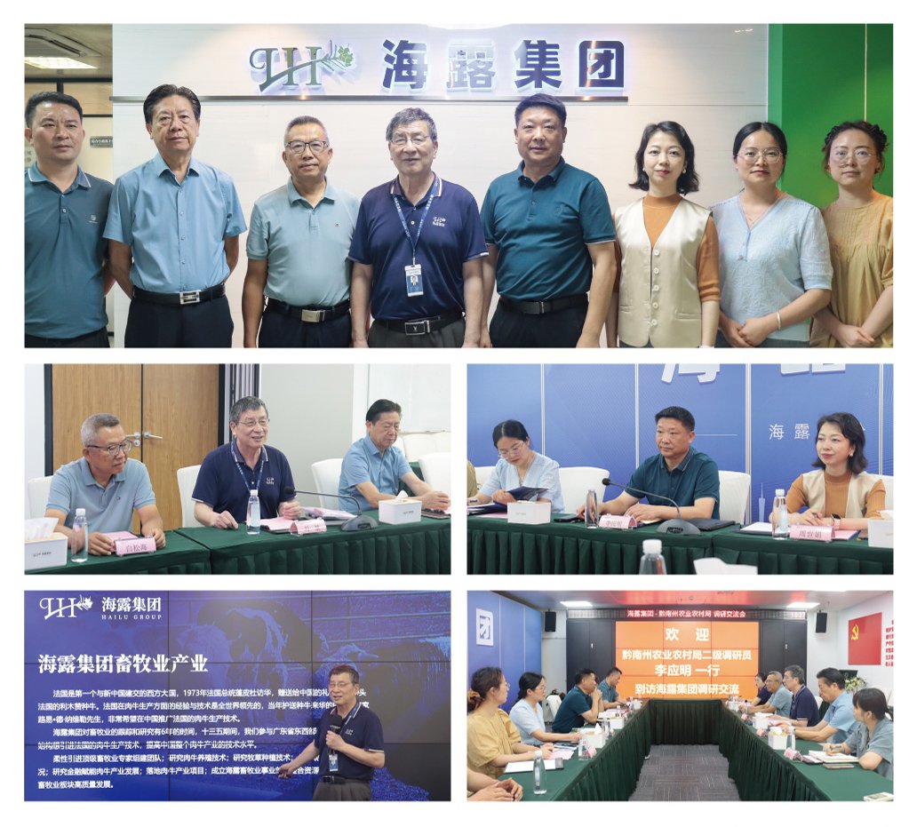 鉴黑担保网(jhdbw)·最具权威唯一维权担保平台