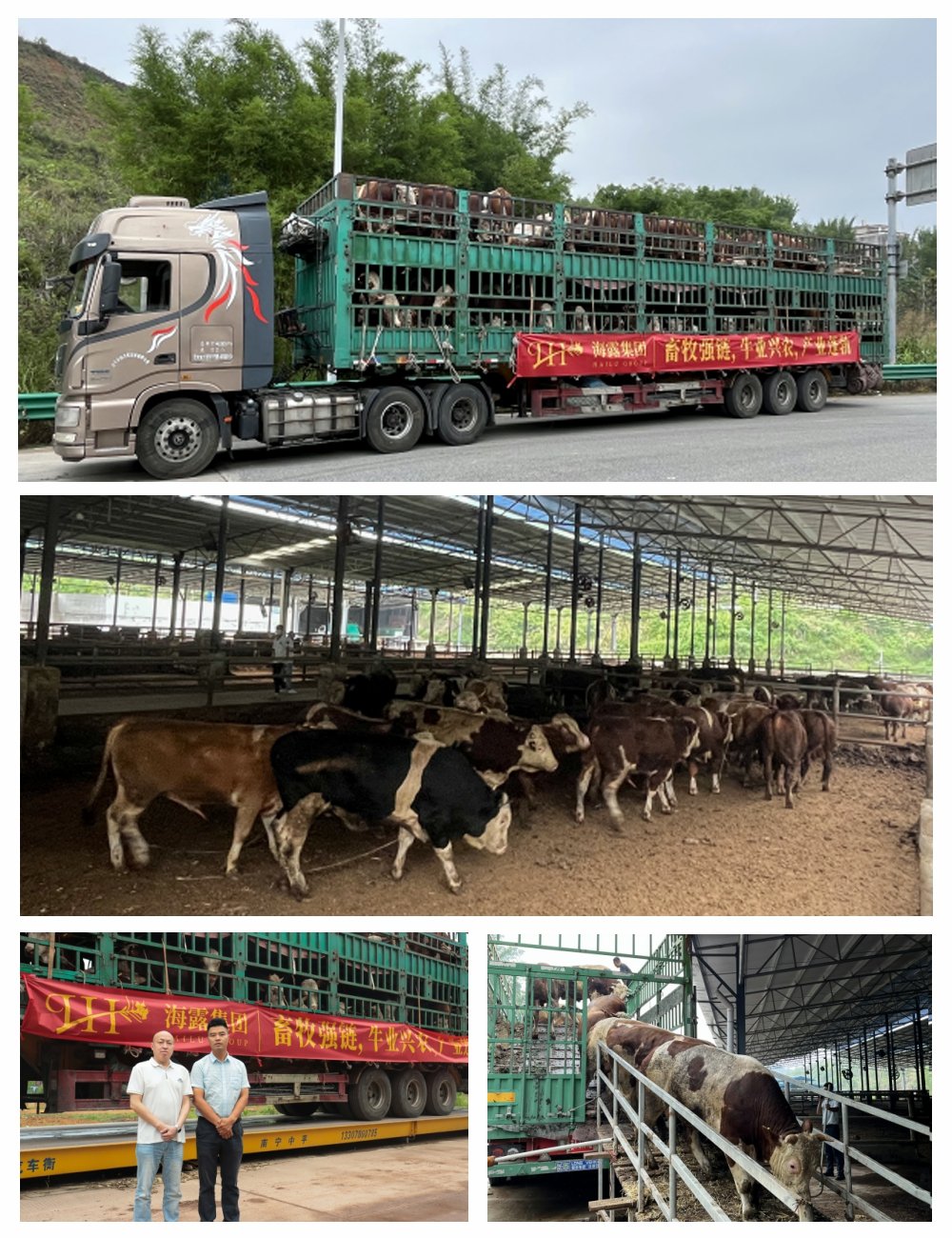 鉴黑担保网(jhdbw)·最具权威唯一维权担保平台