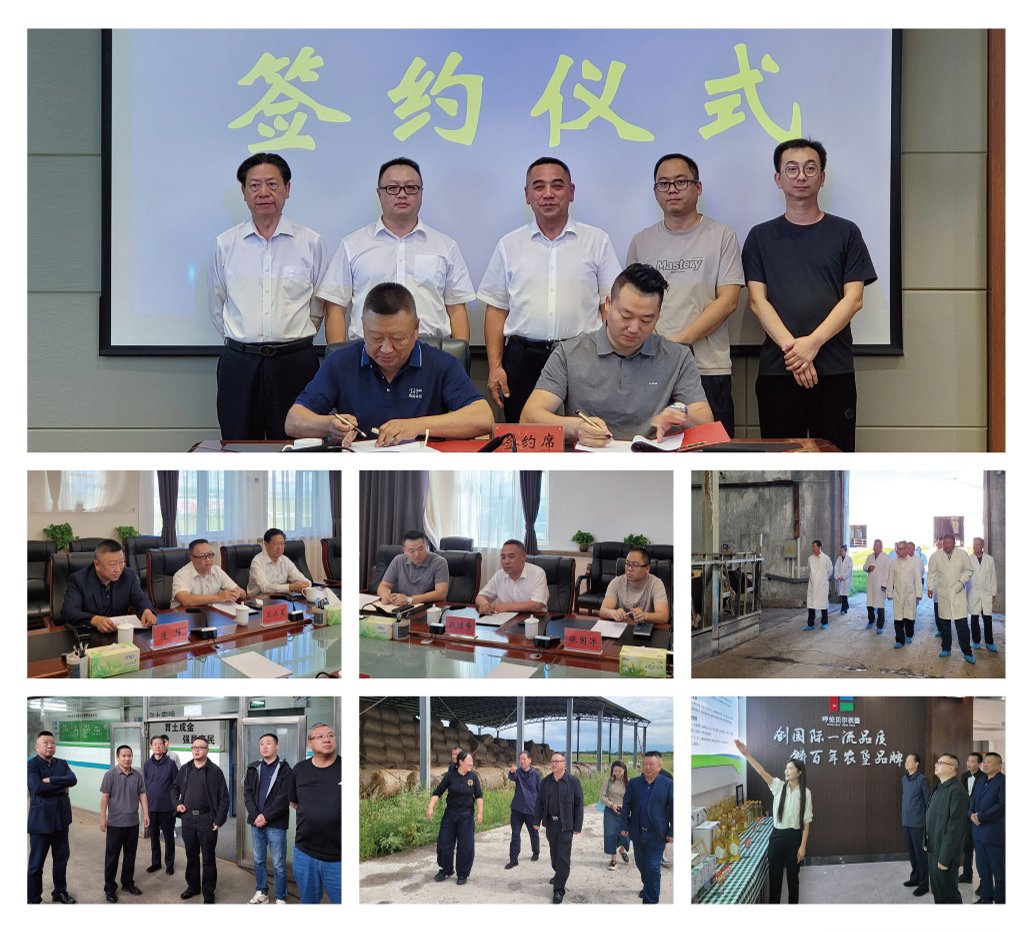 鉴黑担保网(jhdbw)·最具权威唯一维权担保平台