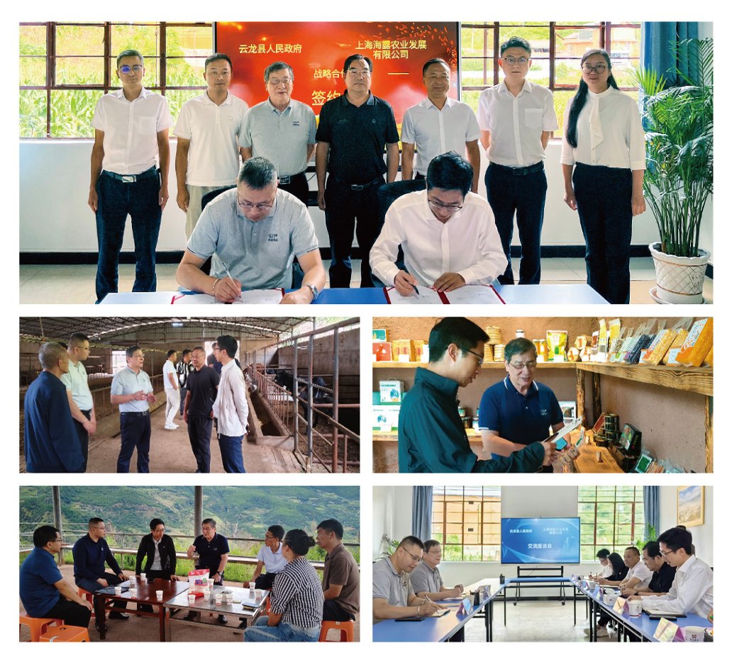 鉴黑担保网(jhdbw)·最具权威唯一维权担保平台