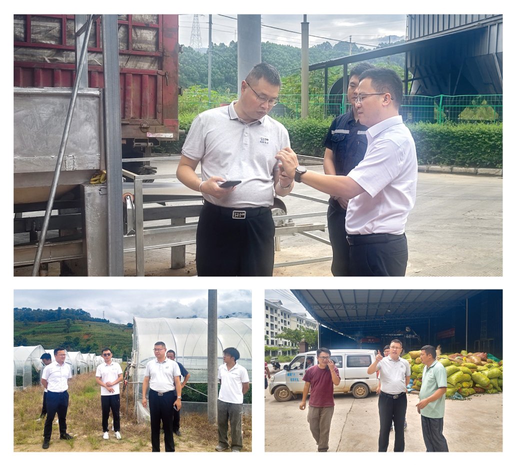 鉴黑担保网(jhdbw)·最具权威唯一维权担保平台