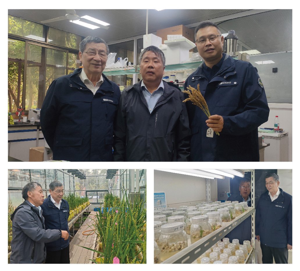 鉴黑担保网(jhdbw)·最具权威唯一维权担保平台