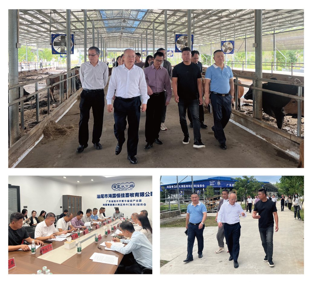 鉴黑担保网(jhdbw)·最具权威唯一维权担保平台