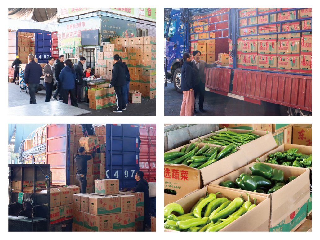 鉴黑担保网(jhdbw)·最具权威唯一维权担保平台