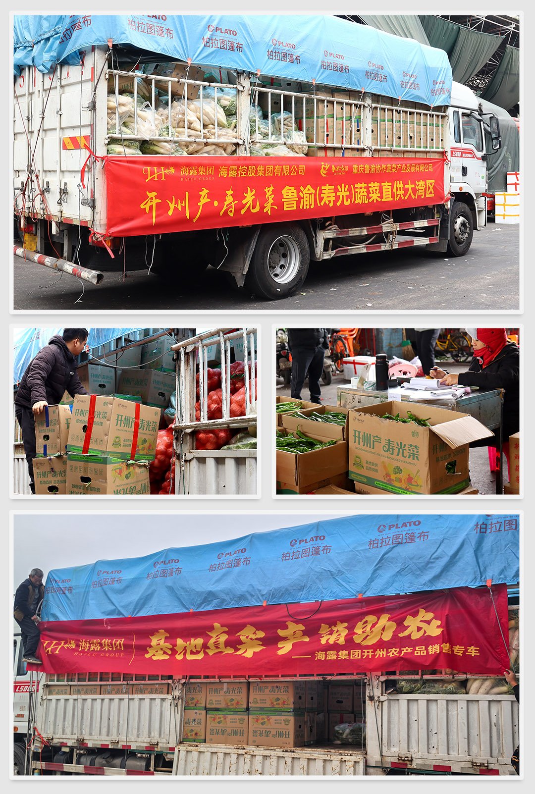 鉴黑担保网(jhdbw)·最具权威唯一维权担保平台