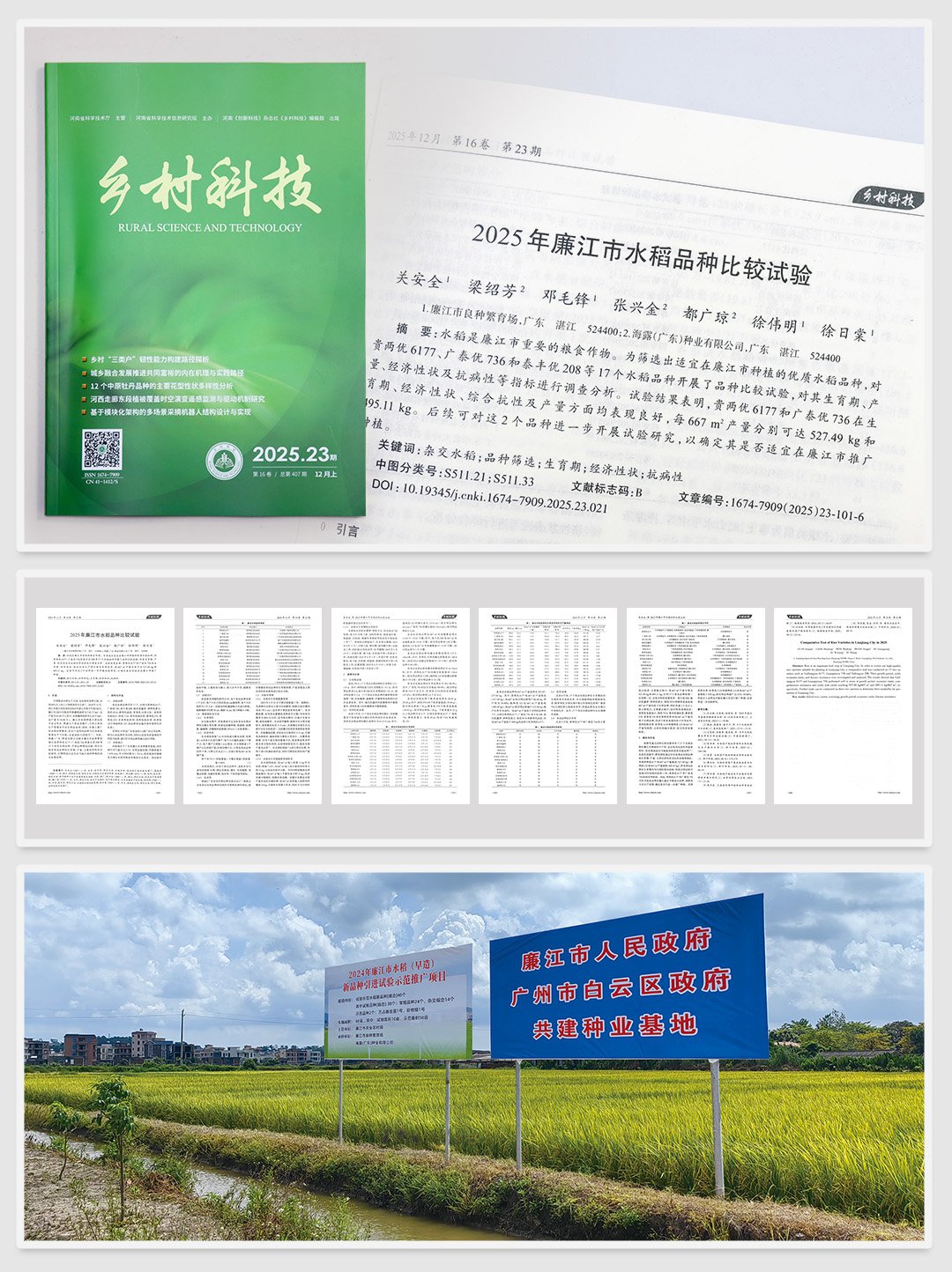 鉴黑担保网(jhdbw)·最具权威唯一维权担保平台